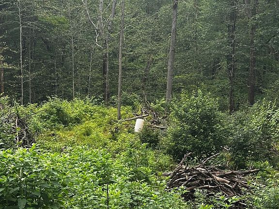 2nd image of 345 W Sutton Rd