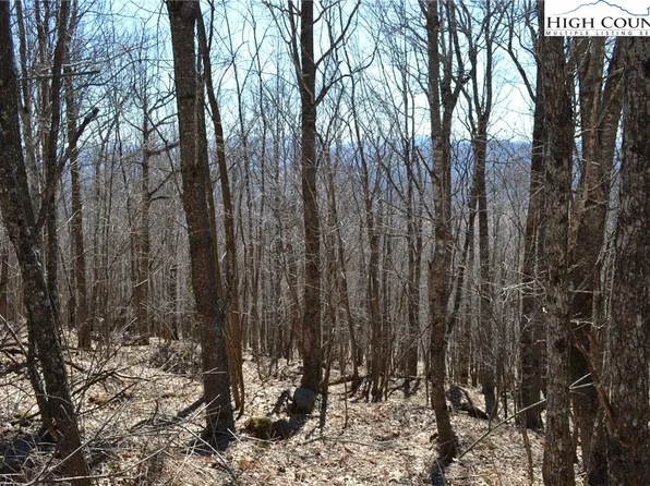 TBD Holiday Lane, Whitetop, VA 24292