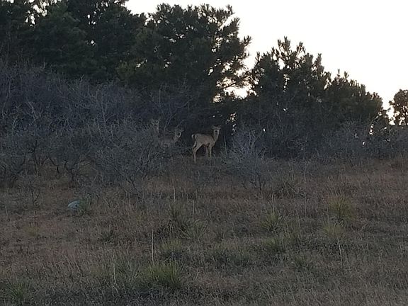 4th image of 2903 Jude Ln