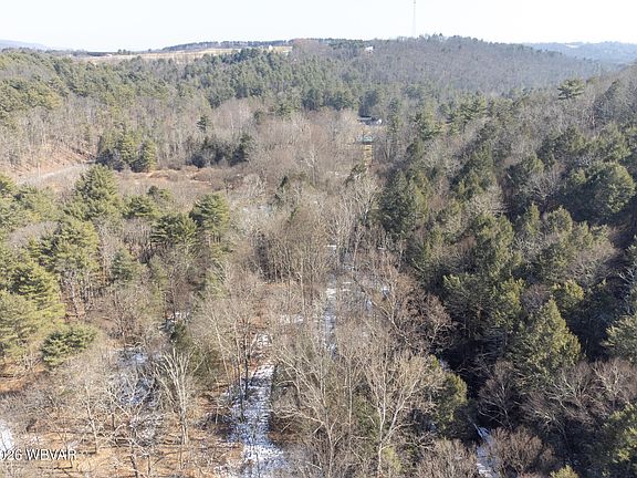 4th image of 1351 1st Fork Rd