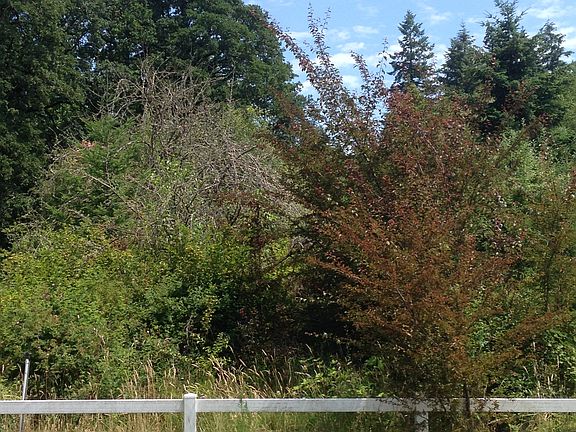 Protected Green-Space view