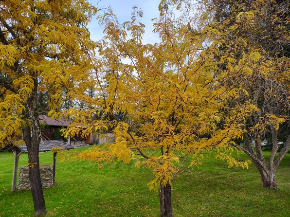 11936 Upper Applegate Rd