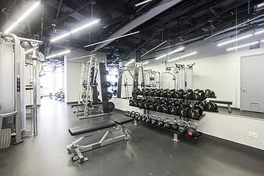 Rented by Dalan Rentals