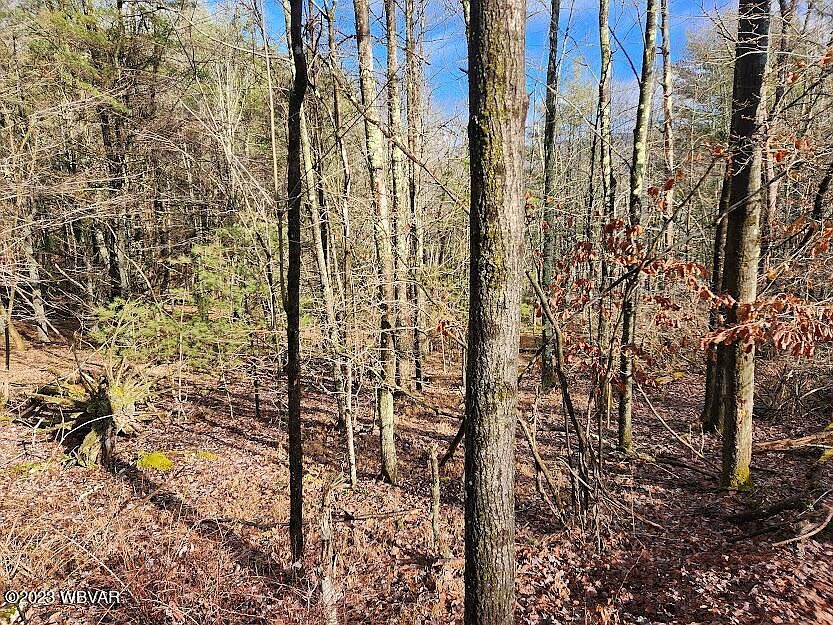 Spring House Rd LOT 55, Muncy Valley, PA 17758 Zillow