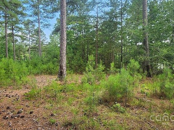 3rd image of LOT 162 Scenic Ln