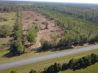 SW County Road 300 LOT 3, Mayo, FL 32066