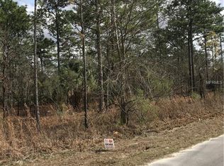 12050 Lomita Wren Rd, Weeki Wachee, FL 34614