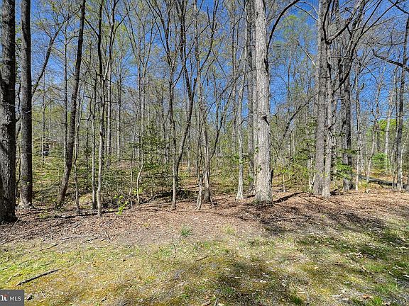 5th image of 46 Lakewood Cir