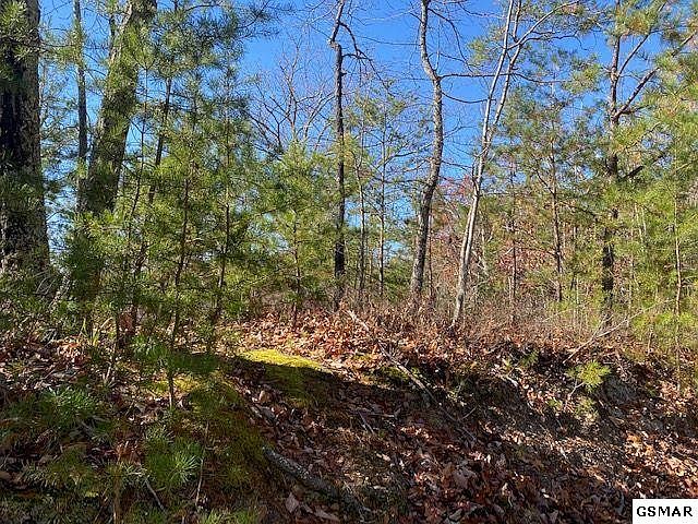 1st image of LOT 39 Elderberry Dr
