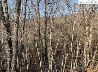 134 Lower Snowbird Trl, Beech Mountain, NC 28604