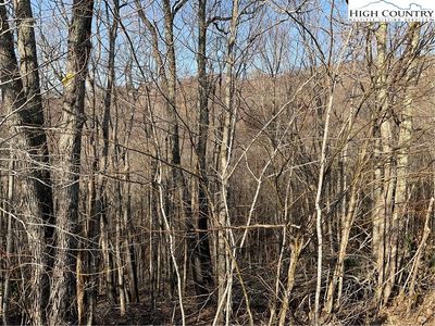 134 Lower Snowbird Trail, Beech Mountain, NC, 28604