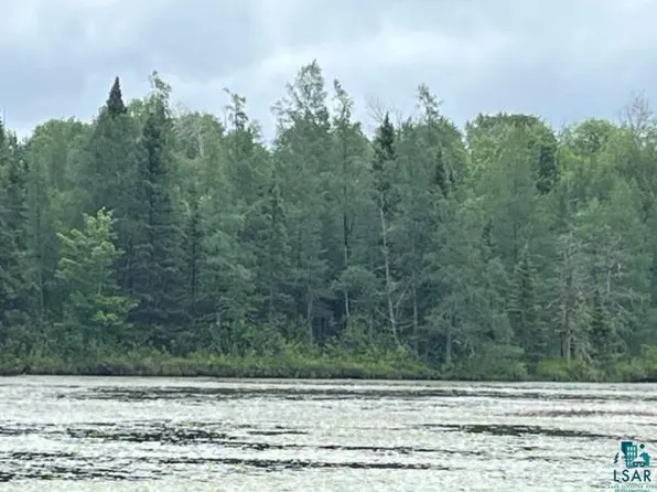 xxxx E Stone Lake Rd, Zim, MN 55738