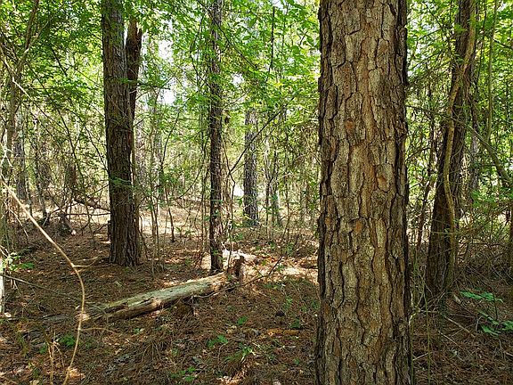 4th image of L7 B9 Mulberry Lane
