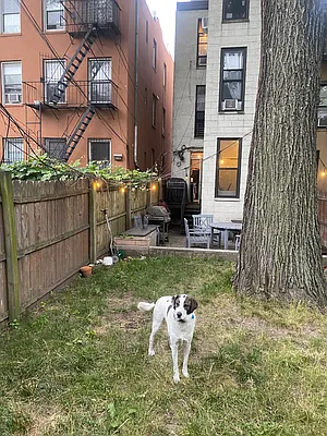 Rented by Kahana Real Estate LLC | media 22