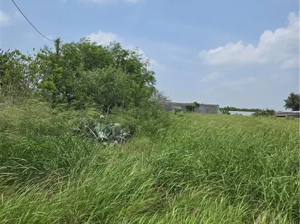 4807 Wynn Dr, Donna, TX 78537