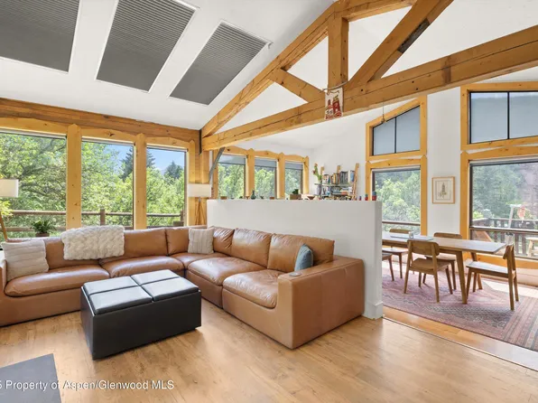 116 S Bill Creek Rd, Carbondale, CO 81623