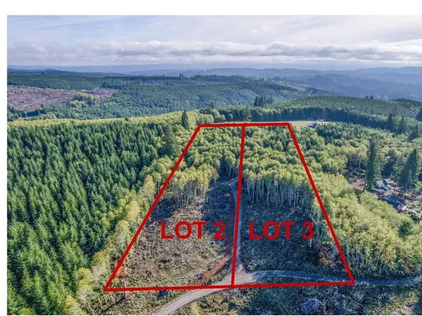 217 Deer Fern Lane, Longview, WA 98632