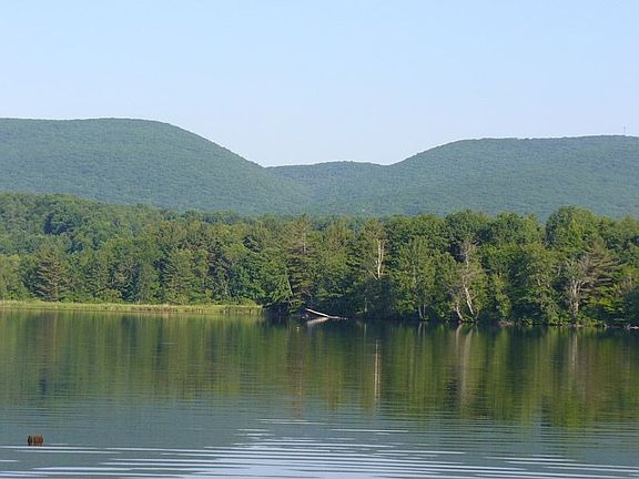 Lake in Summer