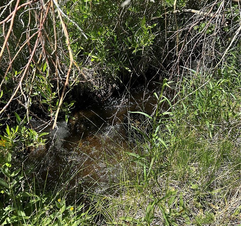 1st image of 360 Mountain Creek Rd