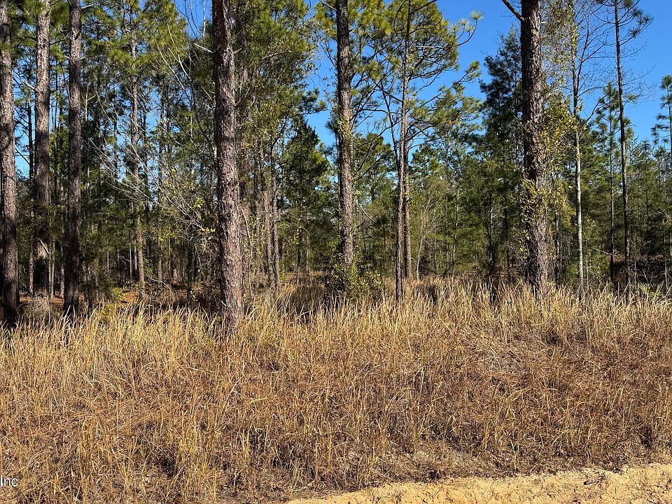 2nd image of 0 POINCIANA Drive