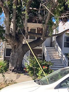 1st image of 1714 13th St APT B