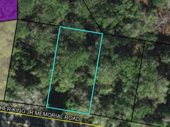 Xx Drive Mlk Jr Memorial Rd, Crawfordville, FL 32327