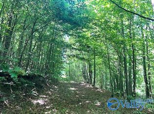 31 Murphree Valley Rd, Altoona, AL 35952