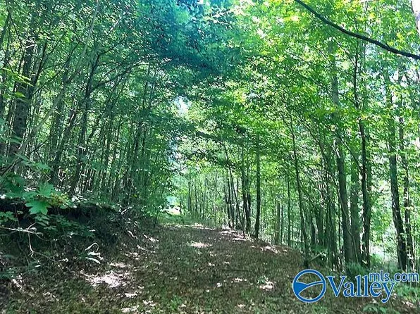 31 Murphree Valley Rd, Altoona, AL 35952