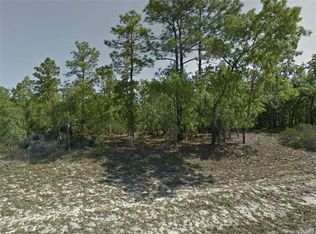 1067 W Pendleton St, Citrus Springs, FL 34434