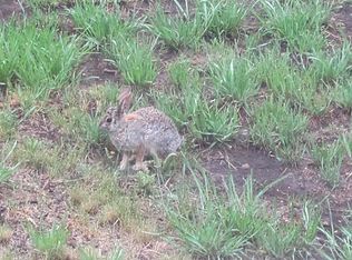 101 Pine Knot Trl, Alto, NM 88312