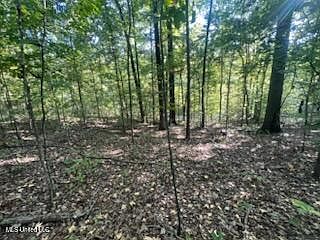 2nd image of 11402 Sequoyah Dr Lot 99