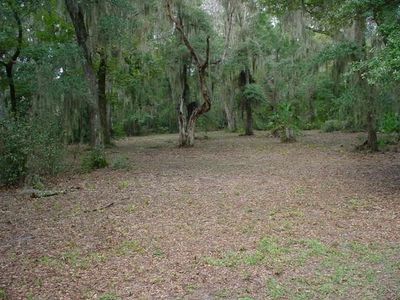 LOT 14 Carnochan Dr, Darien, GA, 31305