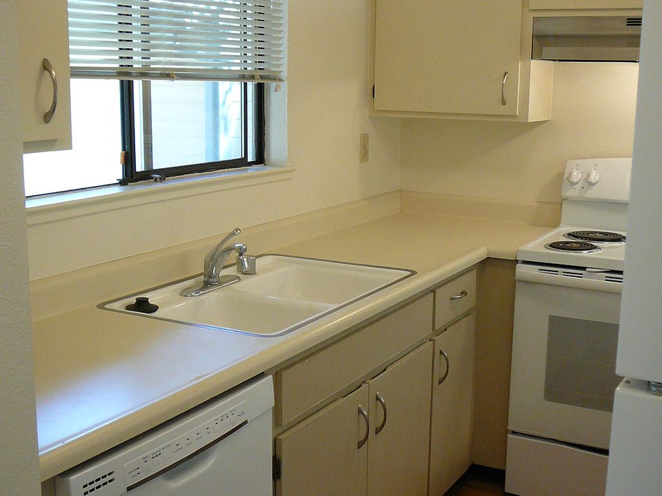 New stove and dishwasher