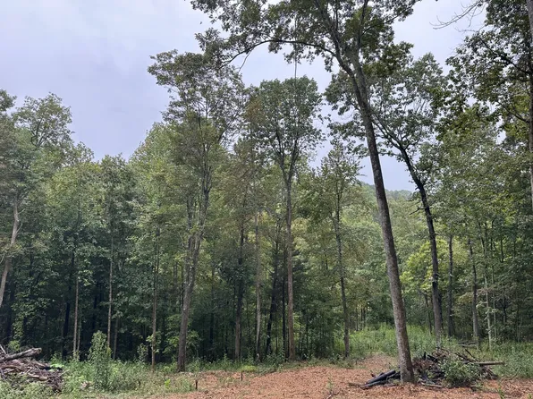 453 Gravely Hill Rd, Bethpage, TN 37022