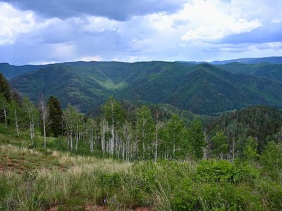 Tbd Highway 145, Dolores, CO, 81323