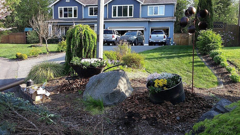 Front yard