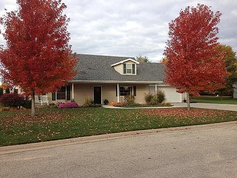 Beautiful trees in the Fall