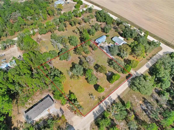 NE 19th St Lot 8, Williston, FL 32696