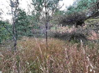 V/l Parcels G H East Rd #18-1/2, Manton, MI 49663