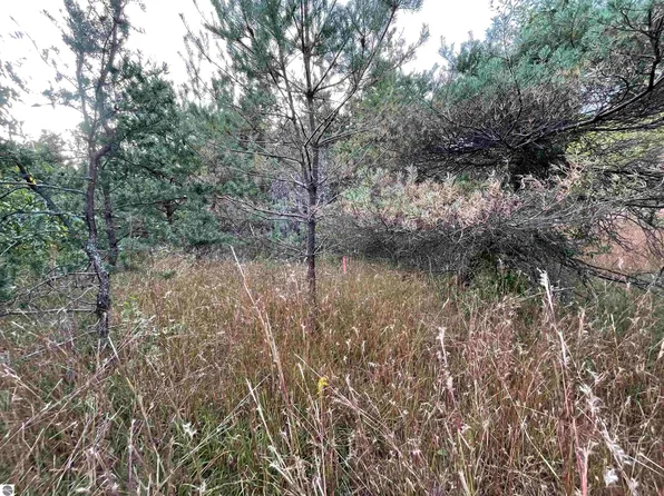 V/l Parcels G H East Rd #18-1/2, Manton, MI 49663