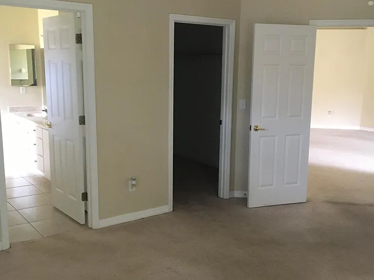 Master bath and walk in closet