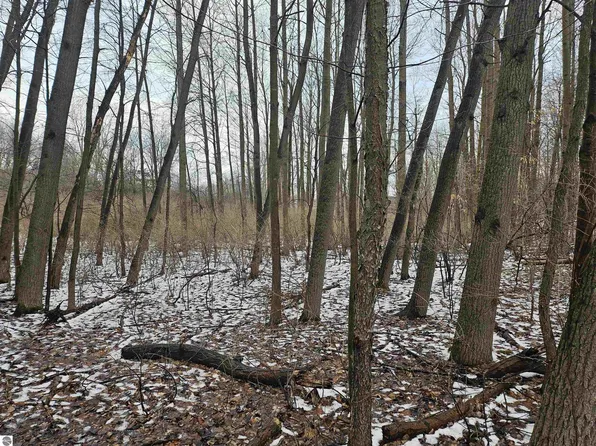 1013 Crown Point Dr, Lake Isabella, MI 48893