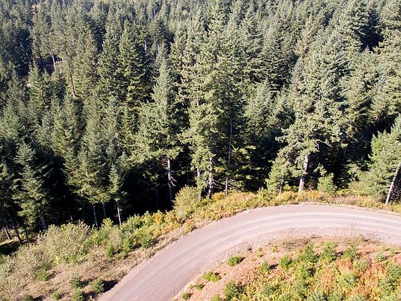 4th image of 27 Five Peaks Dr
