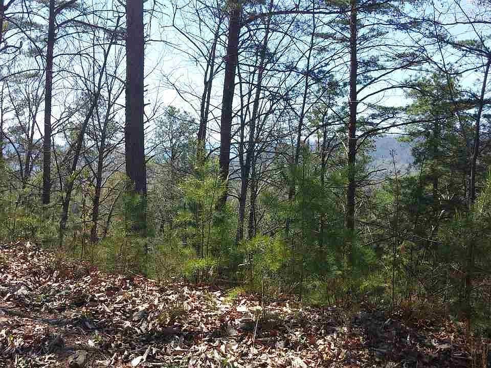 1st image of 81 Redtail Rd Lot 81E