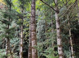 0 Us Highway 12, Randle, WA 98377