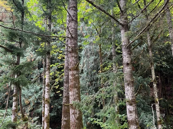 0 US Hwy 12, White Pass, WA 98377