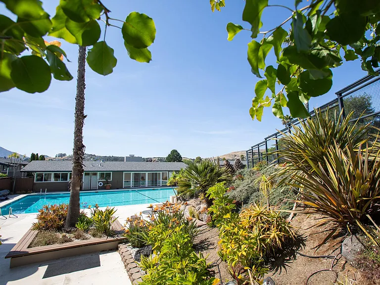 Tropical landscaping