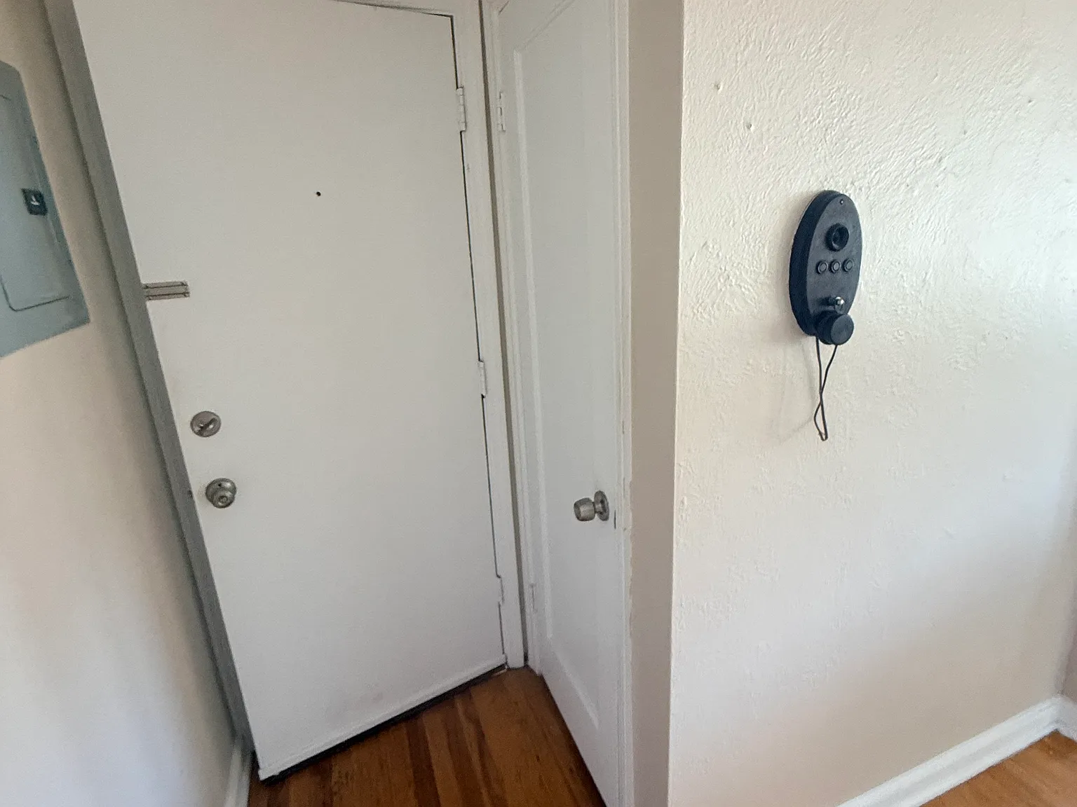 2 bed, 610 sqft, $1,500 — Photo 4