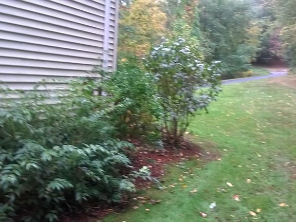 left side landscaping