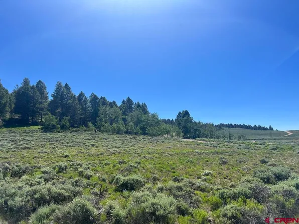 166 & 218 Blue Mesa Drive, Powderhorn, CO 81243